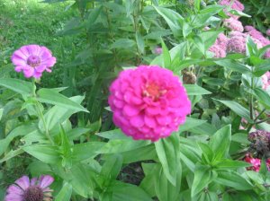 Le résultat de nos efforts!