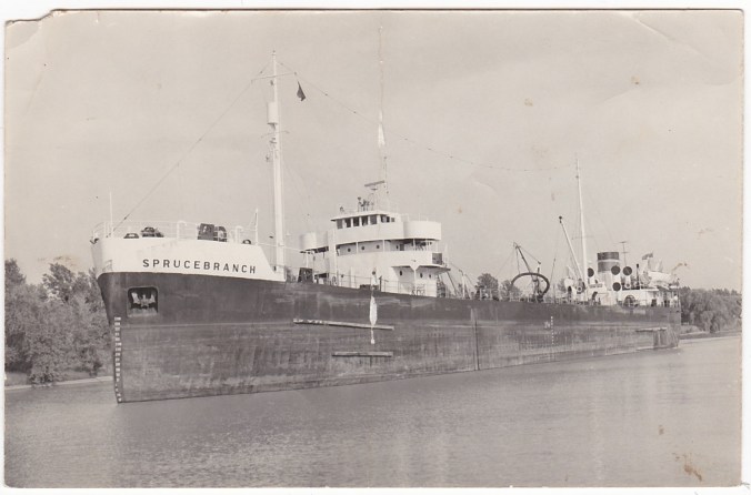 Le "SpruceBranch" (coll. Jacques Bouillé).