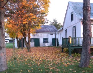 À l'arrière-plan, le vieux hangar où autrefois on ferrait les chevaux...