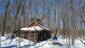 12819372_1078706995506248_3126678904287846021_o (2)