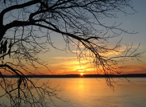 automne 2015hiver 2016 076