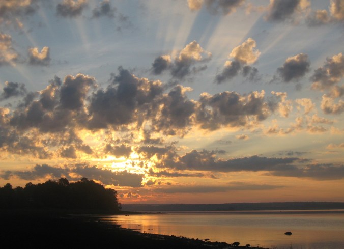 photo © Jacques Bouillé 2014