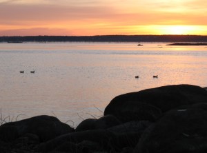 photos-chasse-2008-002