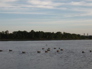 photos-chasse-2008-008