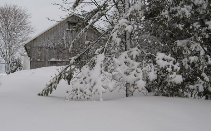Crédit photo: Jacques Bouillé, coll. Madeleine Genest Bouillé.